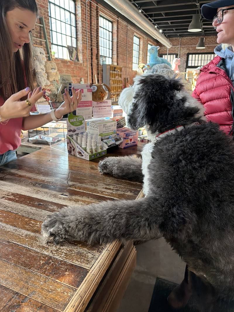 City Dogs Grocery
